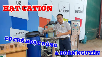 Cơ Chế Hoạt Động Và Hoàn Nguyên Của Hạt Cation - Xử Lý Nước Việt Phát