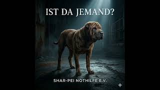 Ist da Jemand? - Shar-Pei Nothilfe e.V.
