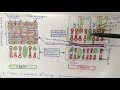 Строение клеточной стенки бактерий