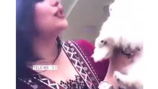 اغنيه ايفون ناجي طير انت🐣🐹