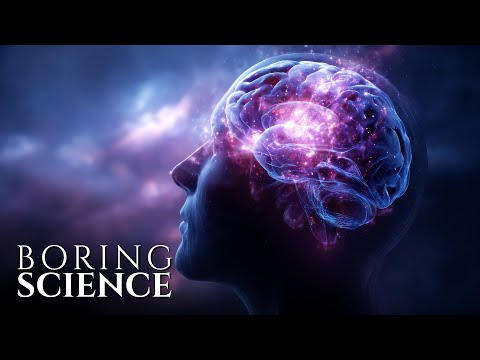 Dreemz98: The Science Behind The Success