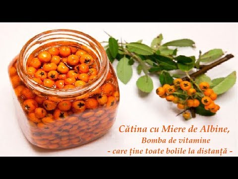 Video: Vitamine Fructe De Cătină