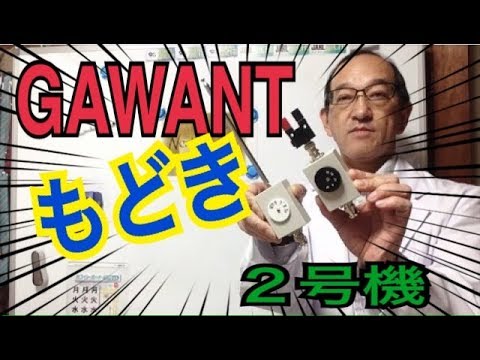 アンテナ GAWANT 2本 アンテナ GAWANT 2本