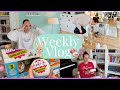  weekly vlog i bin ich verlobt  verheiratet i    i annilis welt 