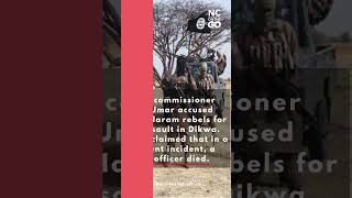 Boko Haram Terrorists Kill 25 Persons in Borno State, Nigeria