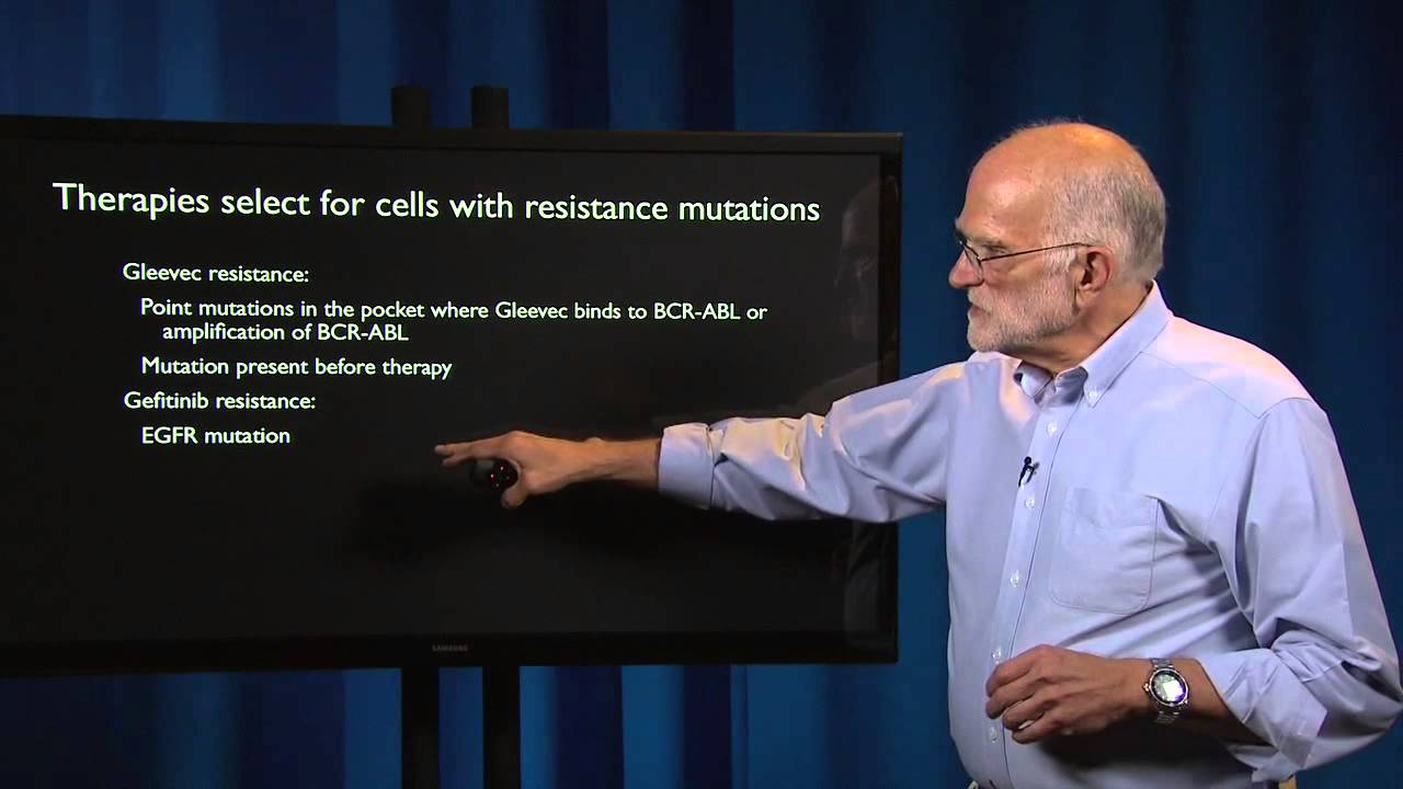 6.6 - Cancer: Adaptive chemotherapy