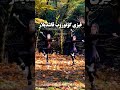 رقص ترکی ای تلی تلی اوغلان آذربایجان Dance رقص ترکی Love عروسی Duet رقص کرمانجی رقص ترکی ای تلی تلی اوغلان آذربایجان Dance رقص ترکی Love عروسی Duet رقص کرمانجی