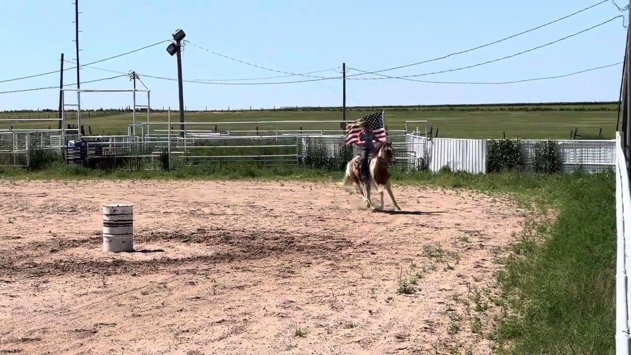 Tarzan// 7yo Red Dun Paint