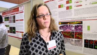 Research Day Poster 2