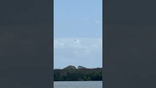 Watching Blue Angels Practice While Fishing In Cocoa Florida