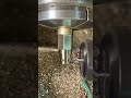 brass turning services from Rollyu Precision