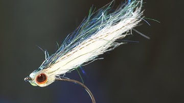 High-Tie Shad Minnow -- Fly tying lesson video tutorial by Curtis Fry