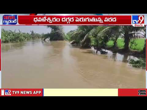 Bhadrachalam : 43 అడుగులకు చేరిన గోదావరి నీటిమట్టం | Godavari River - TV9 - TV9
