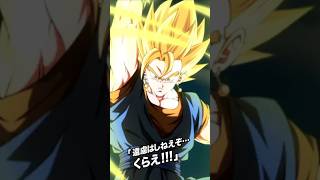 LR TEQ Super Vegito Active Skill