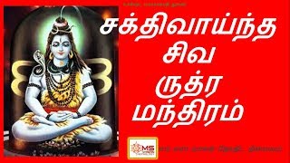 சக்திவாய்ந்த சிவ ருத்ர மந்திரம் - A Powerful Shiva Rudram Chanting