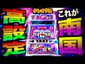 【L南国育ち】誰かこの台の設定判別して🦋パトランプの中毒性にご注意⚠️　# 27