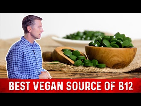 Best Vegan Source of Vitamin B12