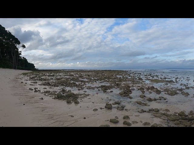 Coral beach - Neel island class=