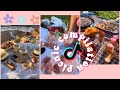 Tiktok picnic compilation ✨🧺🥂