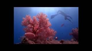 Download lagu Iklan Rokok Djarum Black - Dive In (2014)