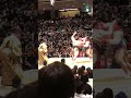 貴景勝関vs錦富士関バイバイボー#shorts #byebyebo  #バイバイボー バイバイボーチャレンジ #大相撲#アテレコ