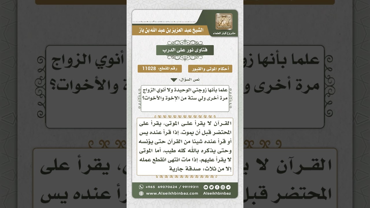 11028 - حكم صلاة المنفرد خلف الصف -  نور على الدرب