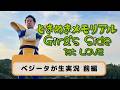 ベジータが「ときめきメモリアル Girl’s Side 1st Love」生実況【前編】