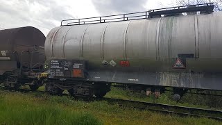 Locomotive Serbia Cargo 661-117 (Kennedy) / Freight train (PA-NS) / Donji Titel - Titel, 30.04.2021.