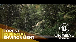 Unreal Engine 5 - Realistic Forest Environment Walkthrough