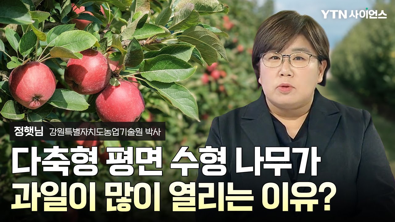 [과학人터뷰] 특별한 모양의 사과나무 스마트 과수 재배기술 개발! / 정햇님_강원특별자치도농업기술원 박사