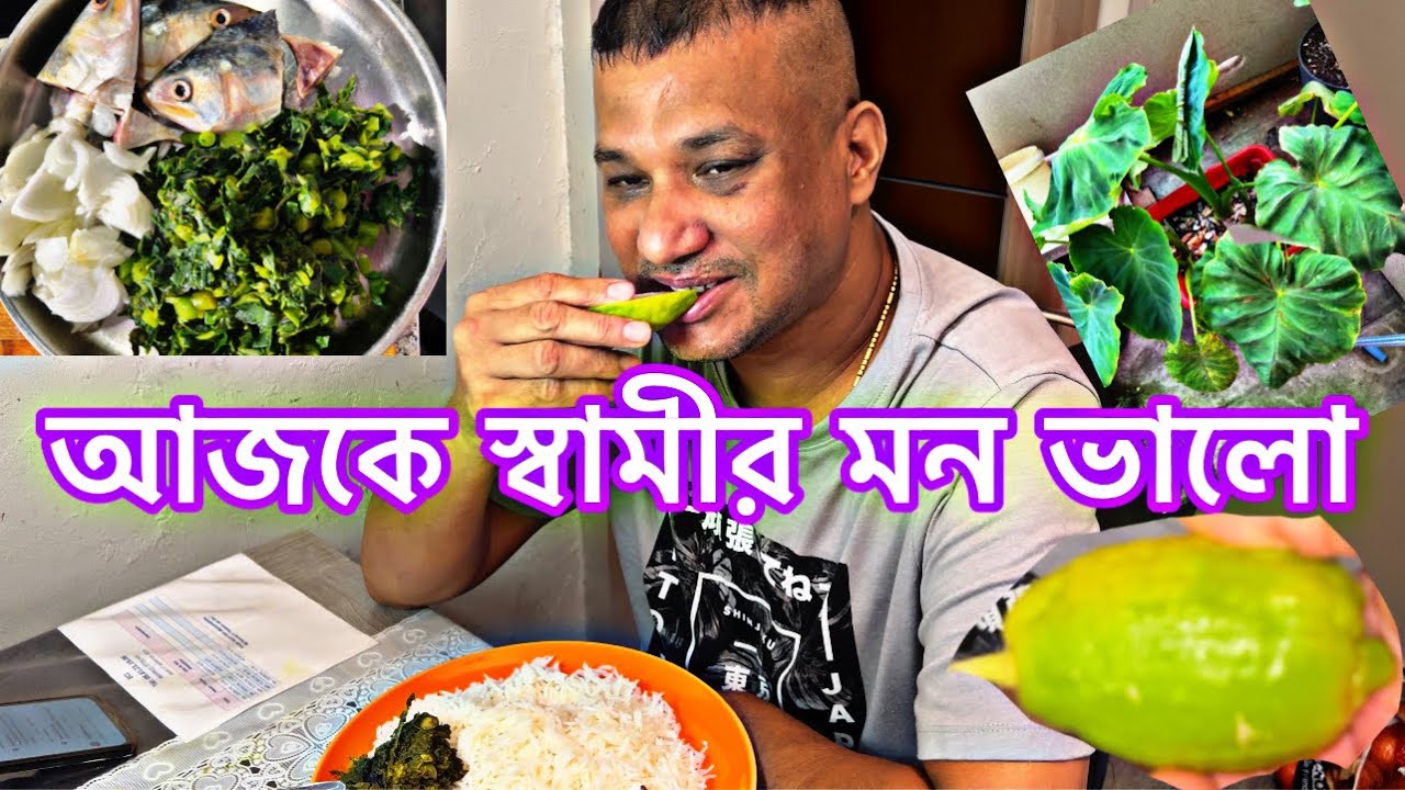 ইলিশ মাছের মাথা দিয়ে কচুর শাকের দুর্দান্ত রেসিপি সাথে খাসির গোশত  রান্না রেসিপি