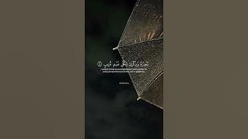 أَفَلَمۡ يَنظُرُوٓاْ إِلَى ٱلسَّمَآءِ || تلاوة رهيبة 🌷 || القارئ أحمد النفيس 🤍