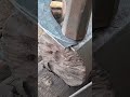 skills technique blacksmith cut steel #pandaibesi #medievalblacksmith