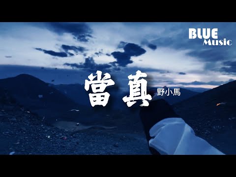 野小馬 - 當真『別太當真，曖昧是感性留的後遺症，是追根刨底始終沒結論。』【動態歌詞MV】