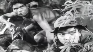 Có Lẽ Đây Là Phim lẻ Chiến Tranh Việt Nam Mỹ Hay Nhất | Phim Chiến Tranh Đặc Sắc