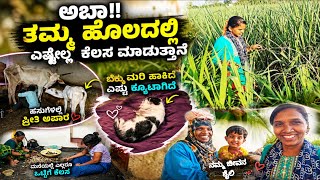 ಅಬ್ಬಾ!! ತಮ್ಮ ಹೊಲದಲ್ಲಿ ಎಷ್ಟೆಲ್ಲ ಕೆಲಸ ಮಾಡುತ್ತಾನೆ / ಬೆಕ್ಕು ಮರಿ ಹಾಕಿದೆ ಎಷ್ಟು ಕ್ಯೂಟಾಗಿದೆ
