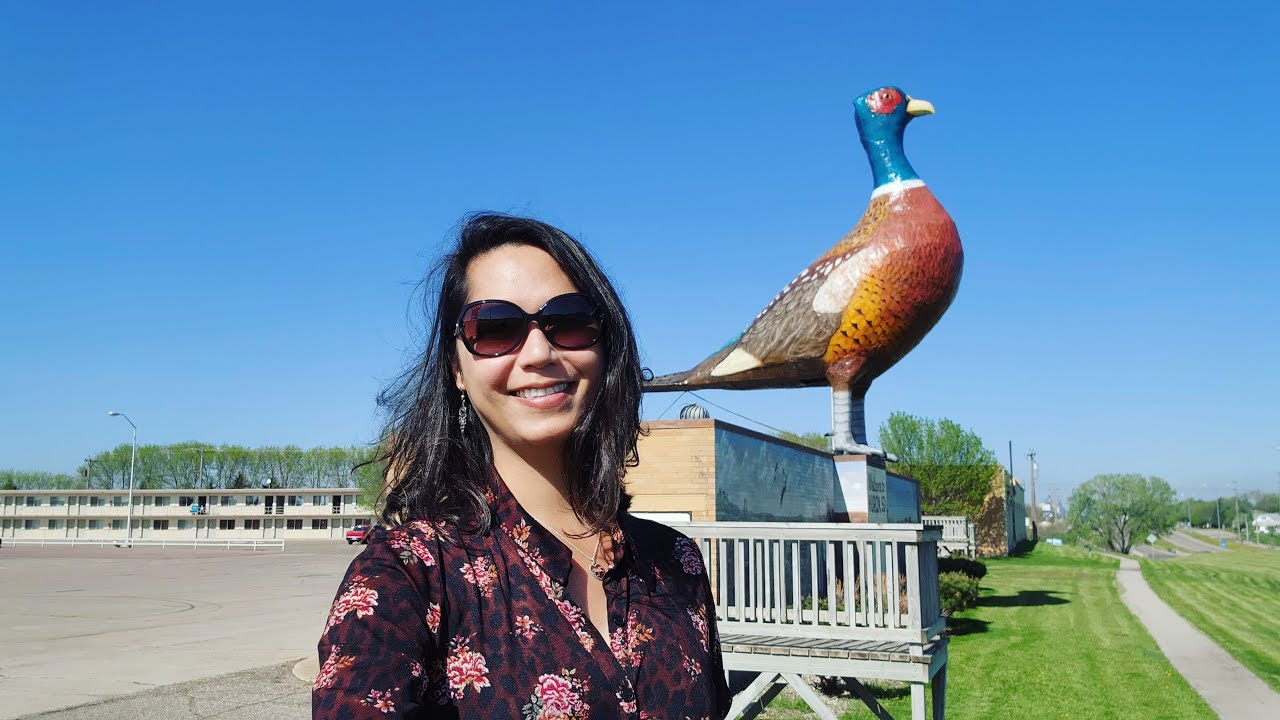 The World's Largest Pheasant in Huron, South Dakota YouTube