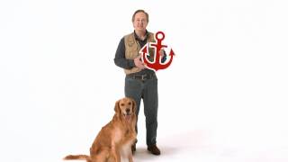 Farm Bureau Insurance - Insurance Icons