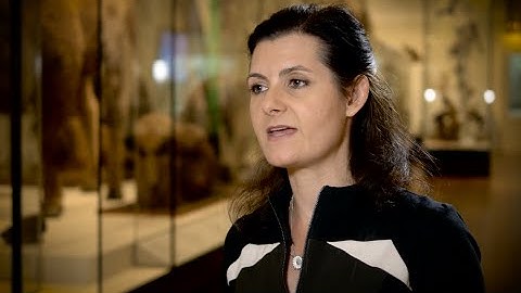 AARNet Interview: Dr Rebecca Johnson (Australian Museum Research Institute)