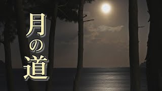 大槌湾　月の道　決意新たに冴える満月　東日本大震災10年