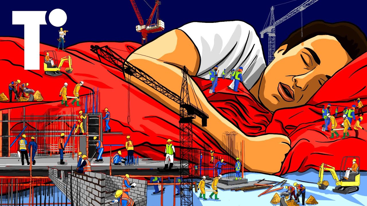 Where will everyone sleep during the Qatar World Cup?, on YouTube