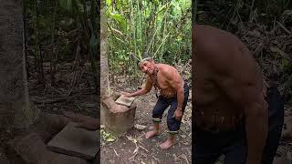 The Tribal Healer’s Secret 🌿