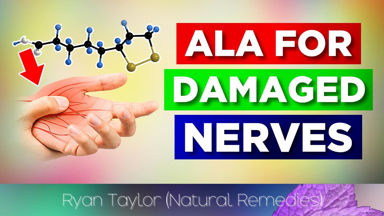 Alpha Lipoic Acid Health Benefits (Nerve Repair) YouTube