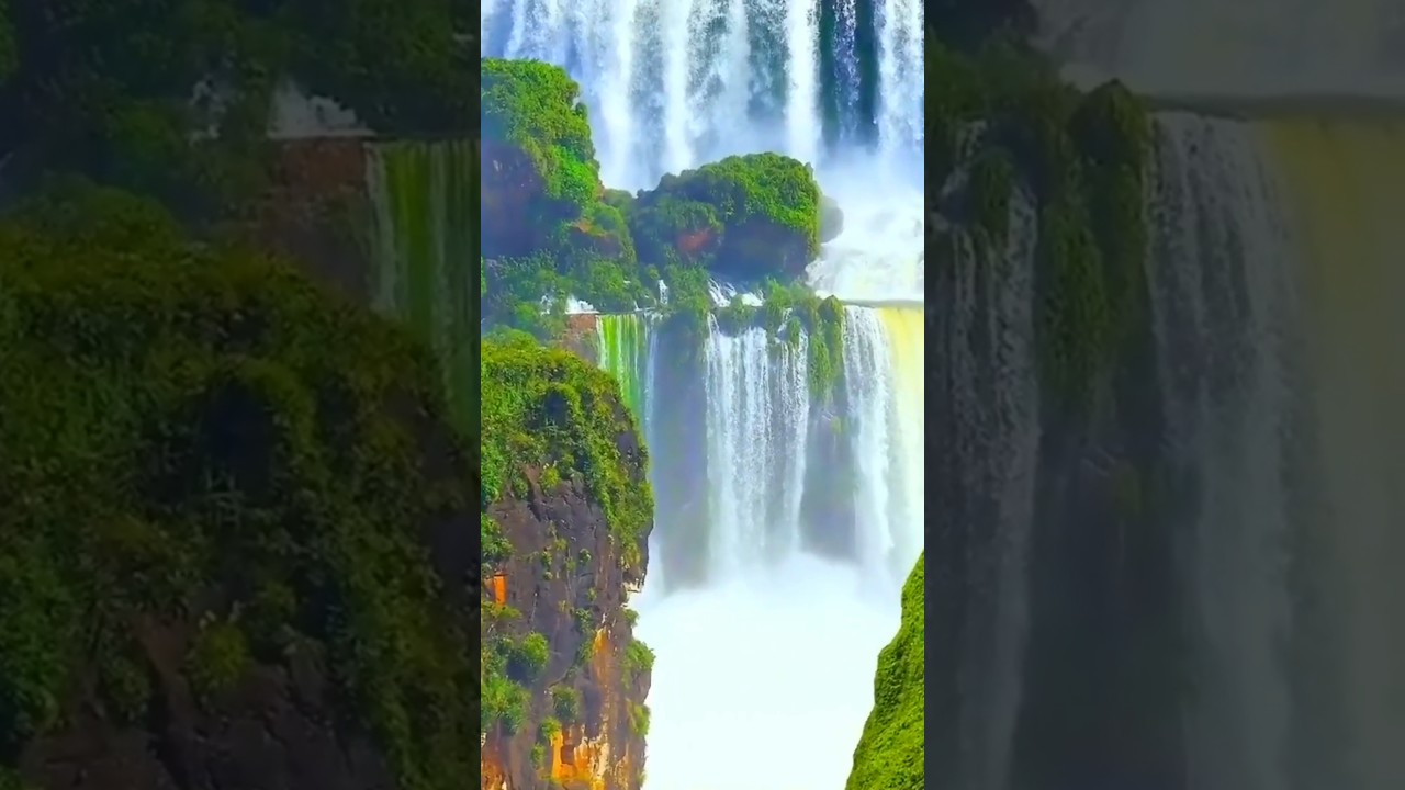 Wonderful Waterfall Shorts 