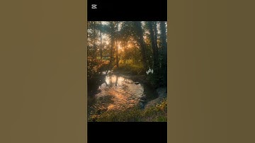سورة الذاريات  بي صوت القارئ ناصر القطامي