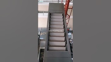 Z type food grade elevating lifting feeding machine bucket feeding system