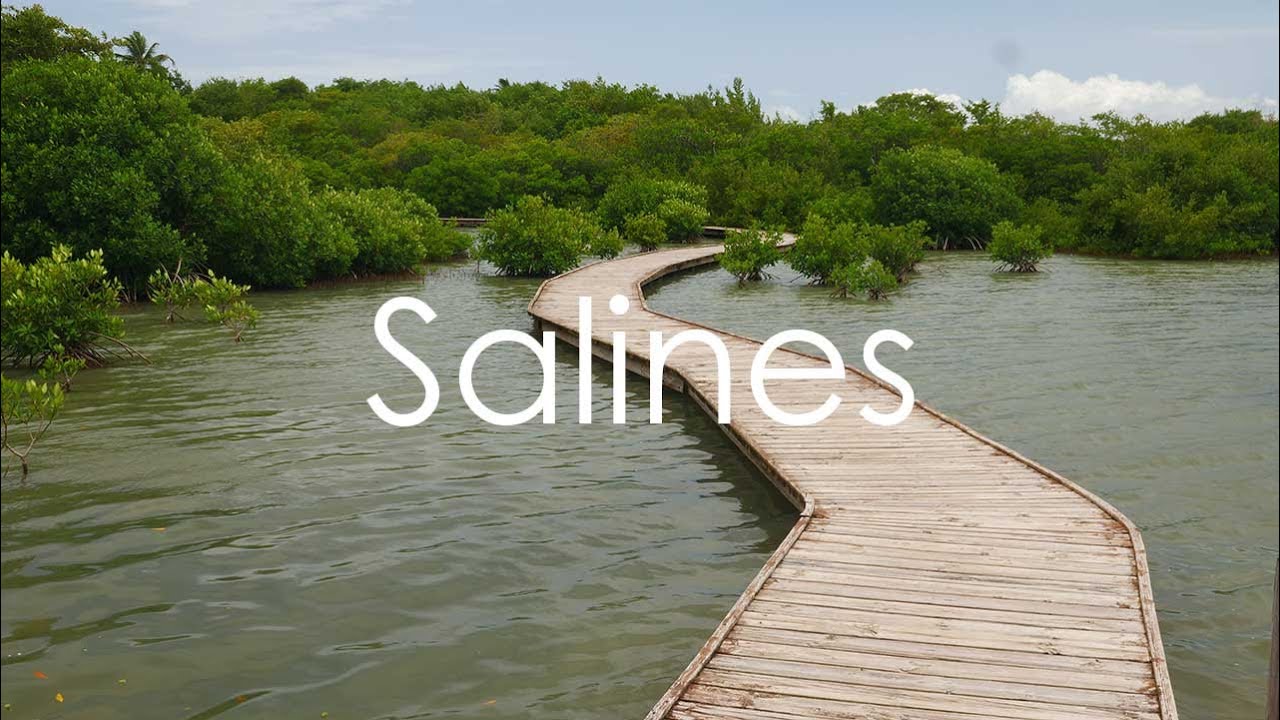 Les Salines, Martinique - 4K UHD - Virtual Trip