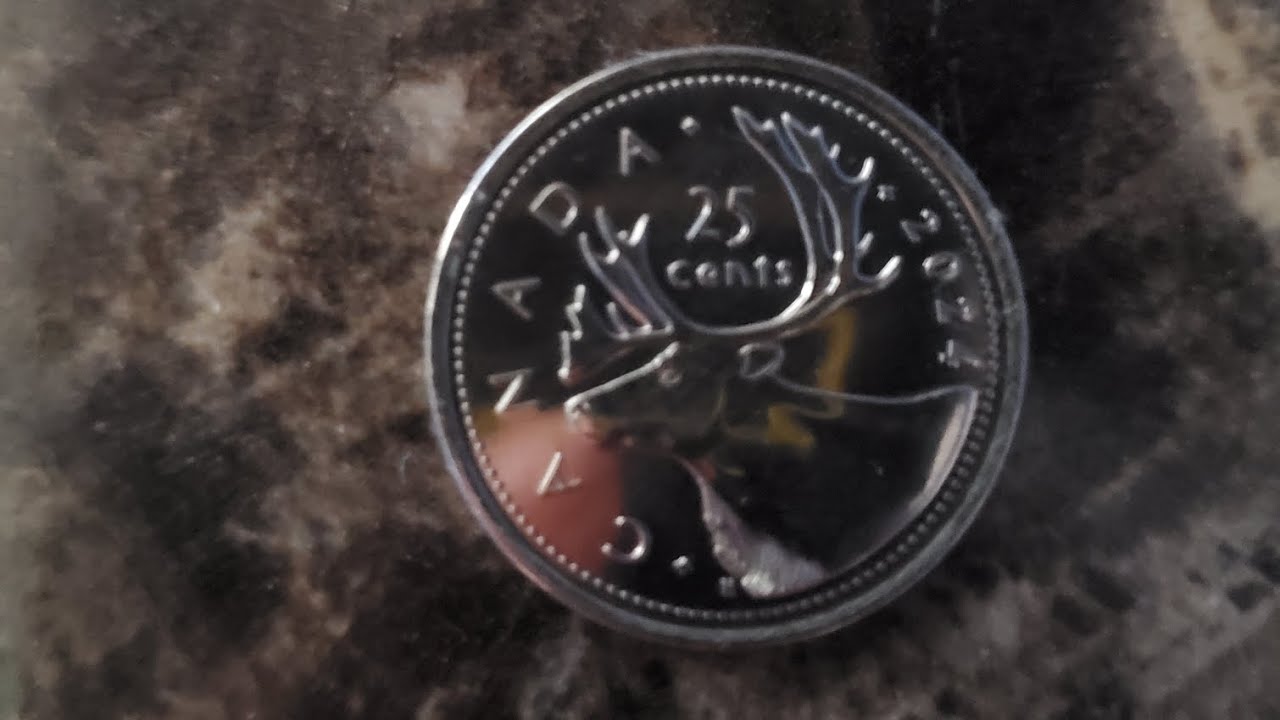 Letting a coin flip control my life for 24 hours 