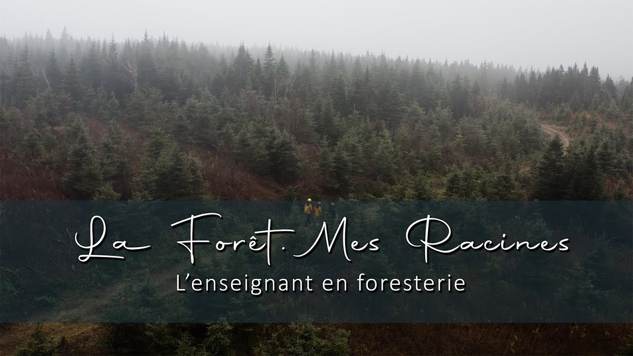 La forêt, mes racines: L’enseignant en foresterie