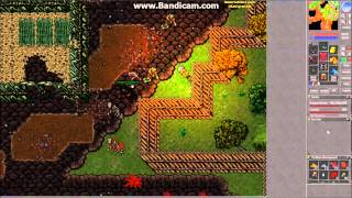 Tibia Hexana.net pk 2015 Part 2
